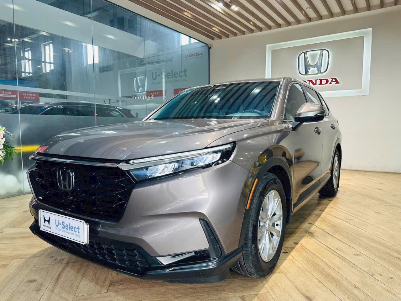 CR-V L Titan  2025